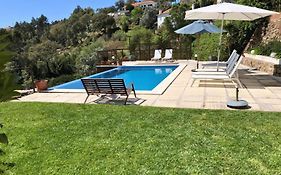 Casas da Tia Alice